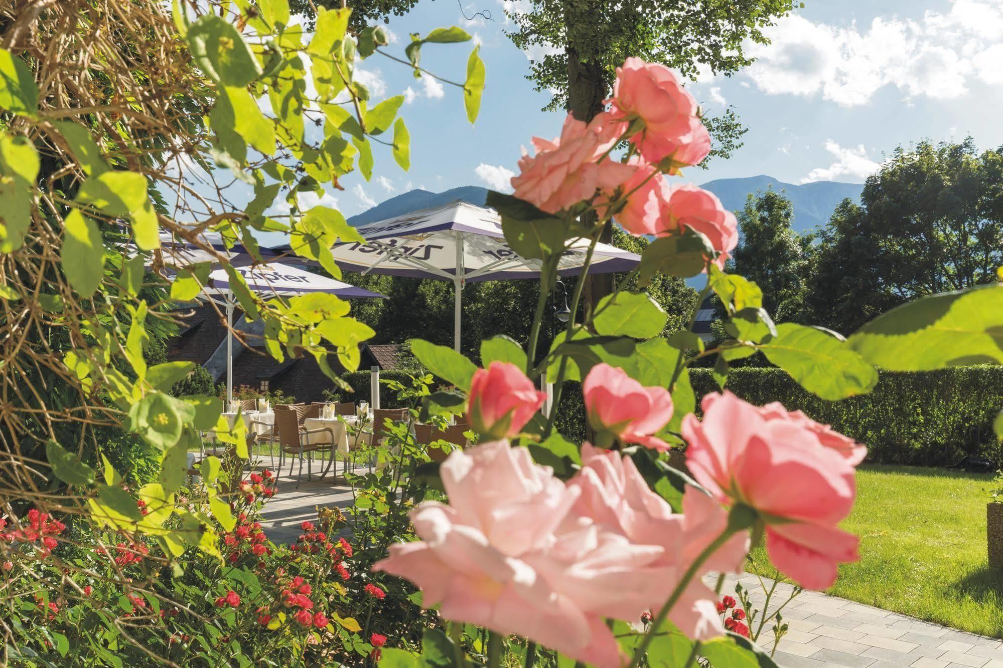 Hotel Schneeberghof Puchberg am Schneeberg Buitenkant foto