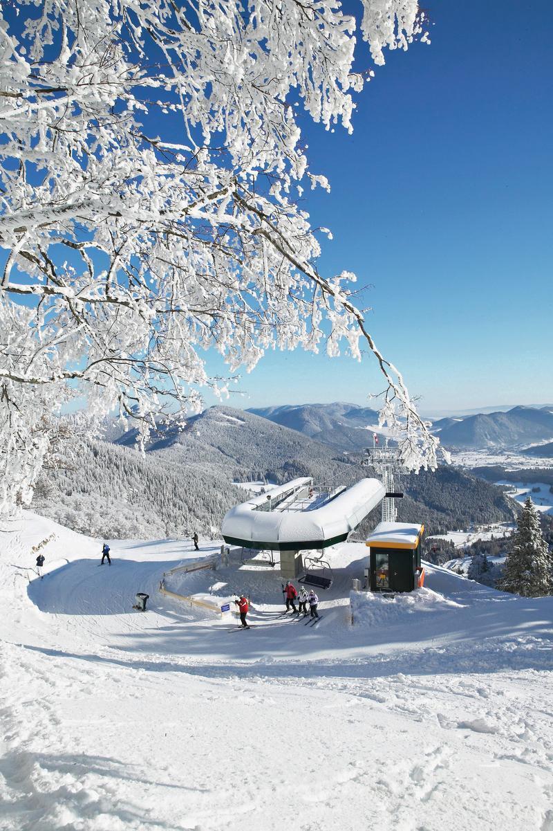 Hotel Schneeberghof Puchberg am Schneeberg Buitenkant foto